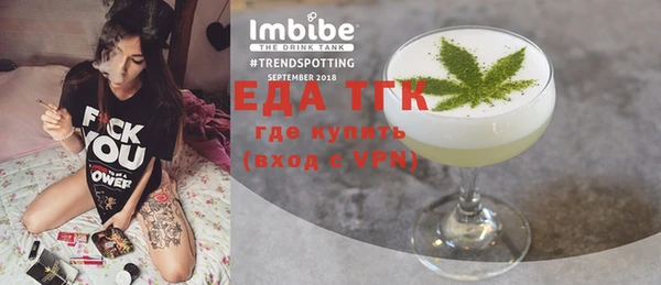шишки Няндома