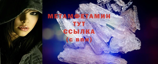 шишки Няндома