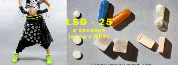 шишки Няндома