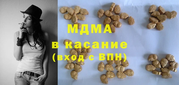 шишки Няндома