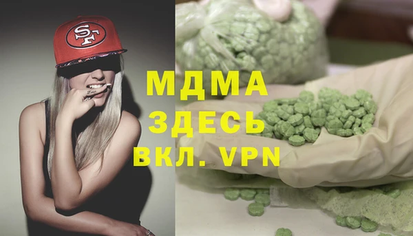 шишки Няндома