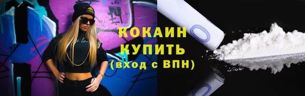 шишки Няндома