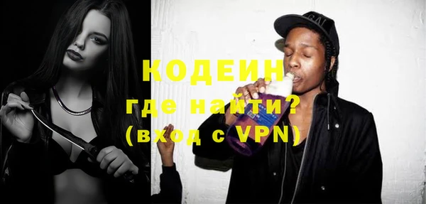 шишки Няндома