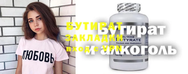 шишки Няндома