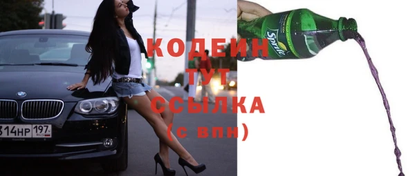 шишки Няндома