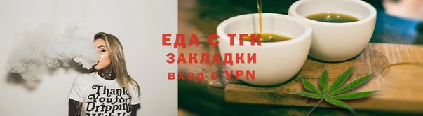 шишки Няндома
