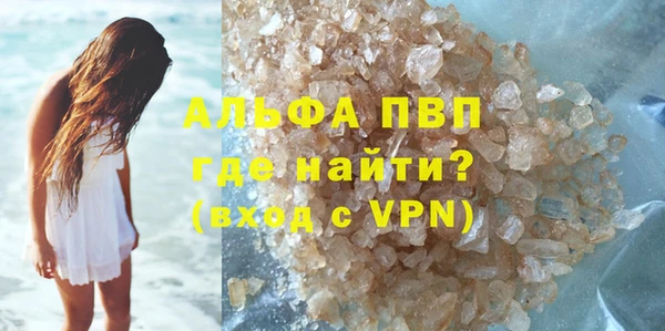 шишки Няндома
