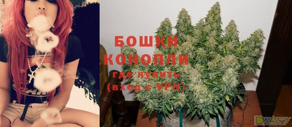 крисы Нягань