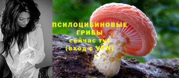 ALPHA PVP Нязепетровск