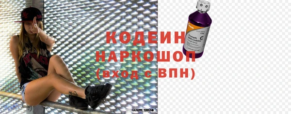 шишки Няндома