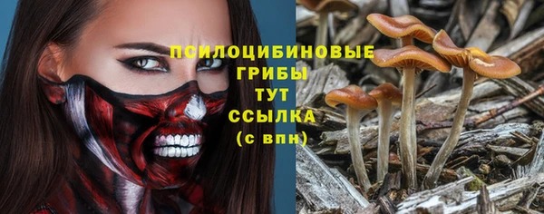 ALPHA PVP Нязепетровск
