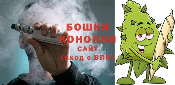 шишки Няндома