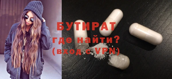 шишки Няндома