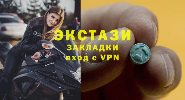 шишки Няндома