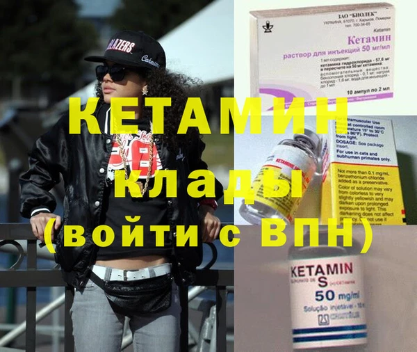 шишки Няндома
