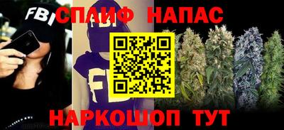ECSTASY Заводоуковск