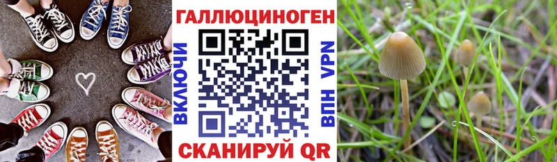 ОМГ ОМГ ТОР как найти наркотики Фролово Галлюциногенные грибы ЛСД
